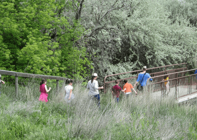 Wilson Springs (IDFG Partnership)